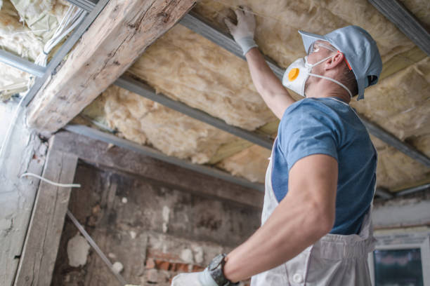 Best Cellulose Insulation in Choctaw Lake, OH