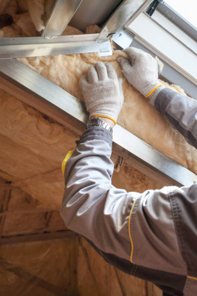 Best Eco-Friendly Insulation in Choctaw Lake, OH