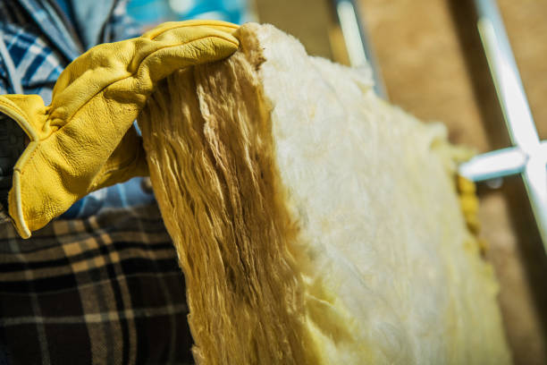 Best Residential Insulation in Choctaw Lake, OH