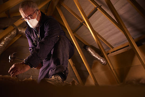 Best Specialized Insulation Services in Choctaw Lake, OH